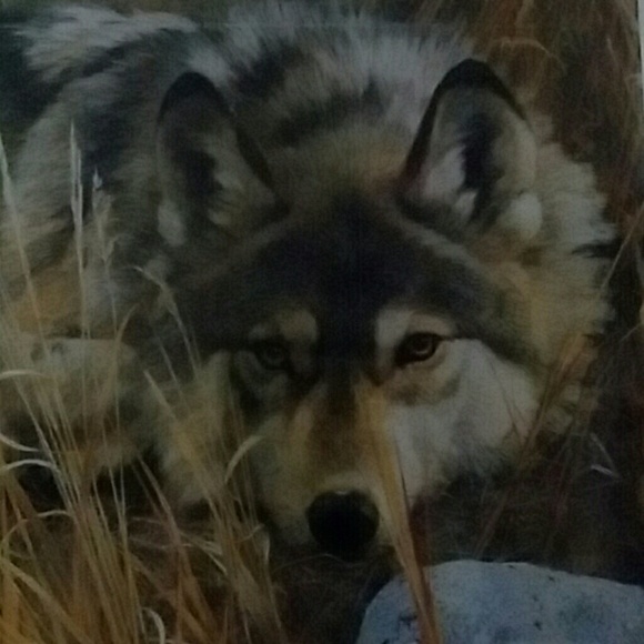 Meet your Posher, Heidi - Picture 1 of 2